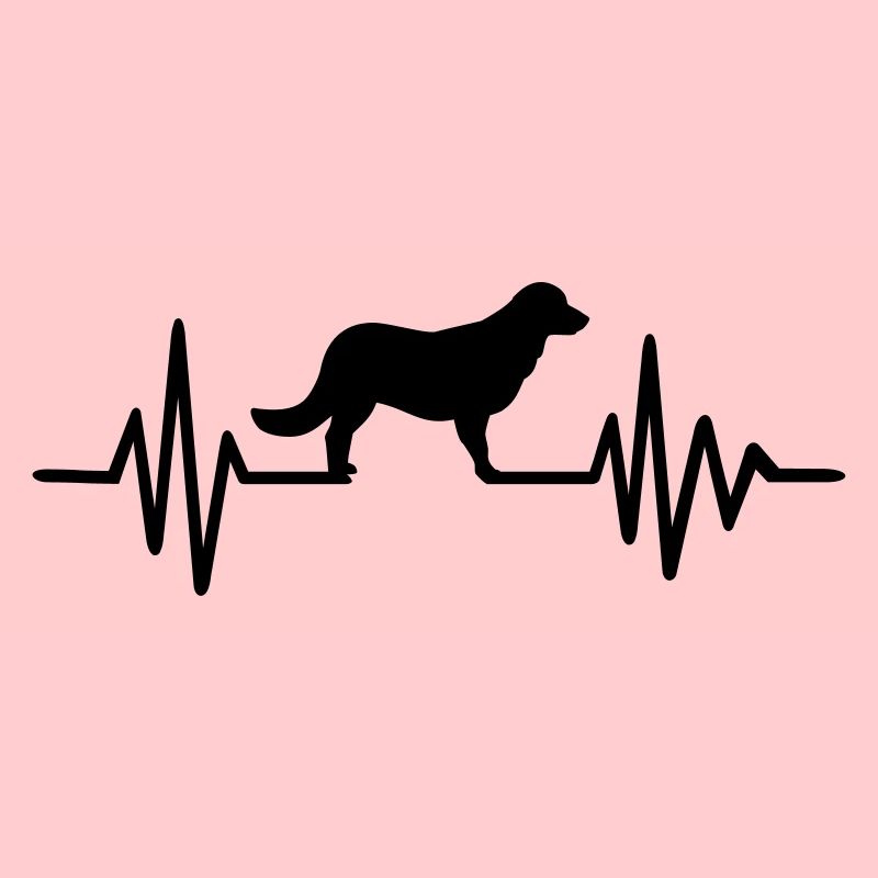 Flat Coated Retriever