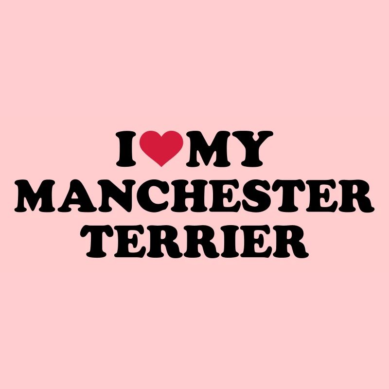Manchester Terrier
