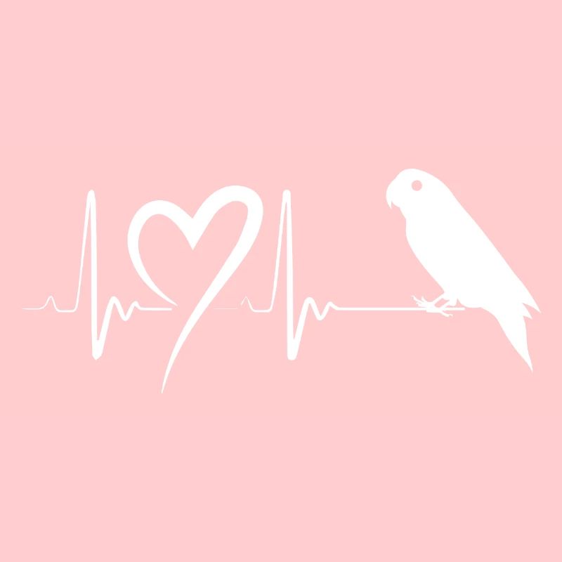 Oiseau perruche perruche perruche