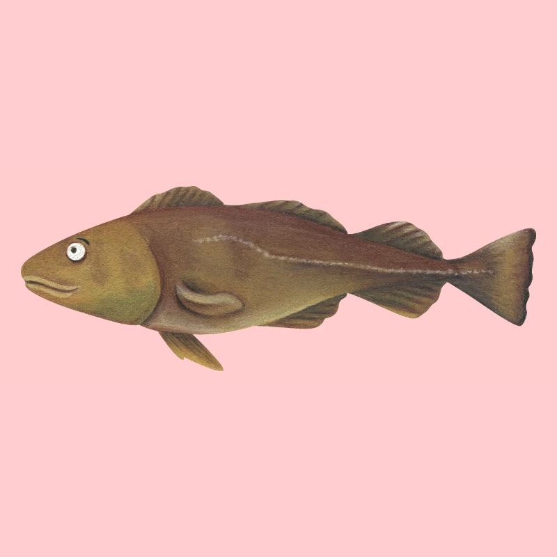 Cod