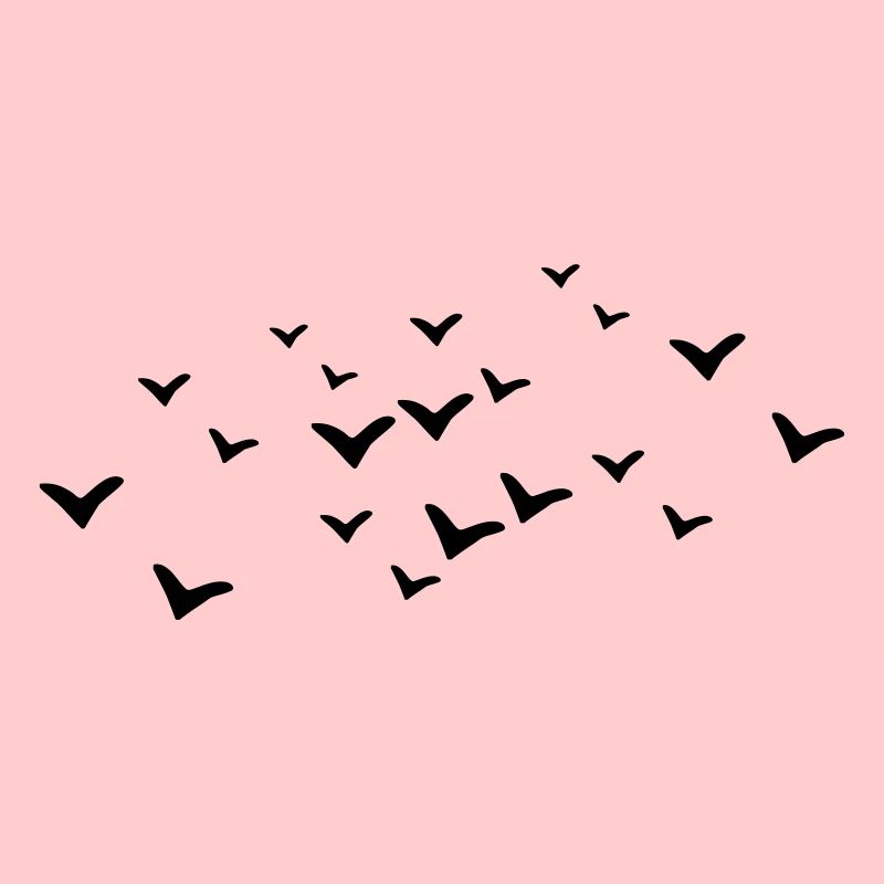 Oiseaux