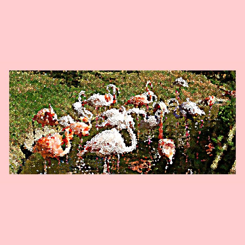 Flamingos