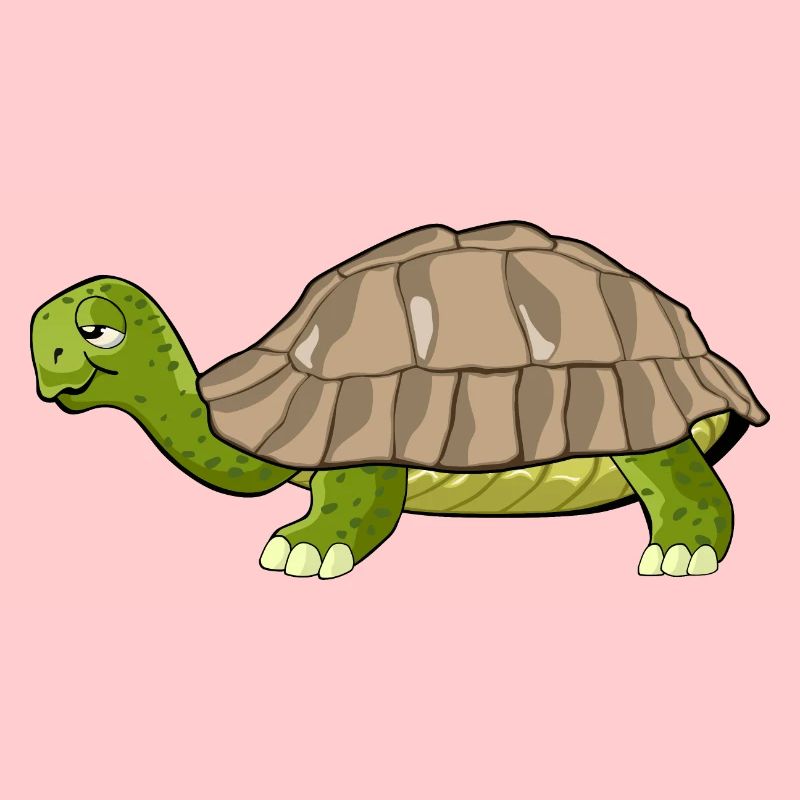 turtle drawing