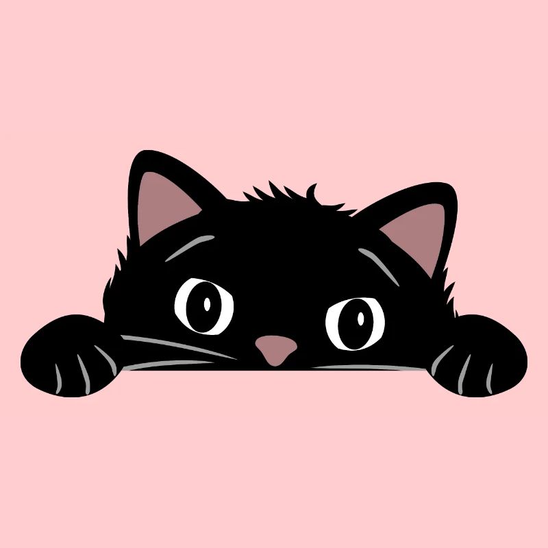 Peeping funny black cat