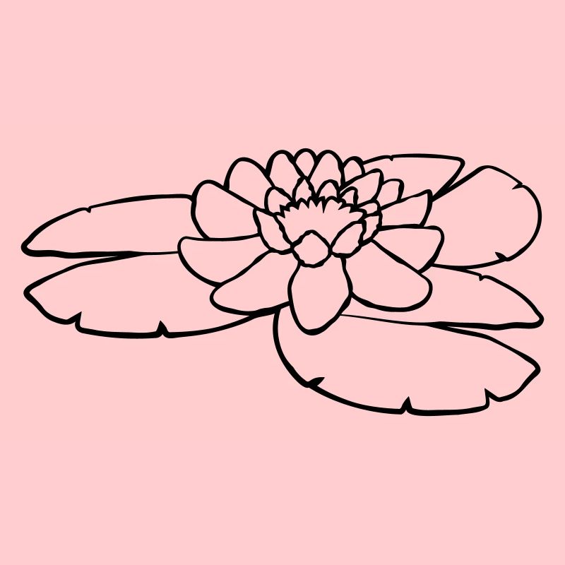 Fleur d’eau d’étang