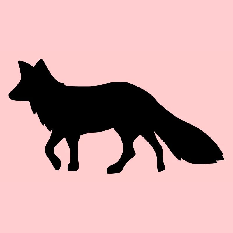Fox fox