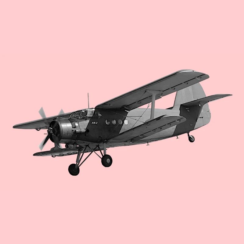 Airplane AN2 Biplane Propeller Vintage
