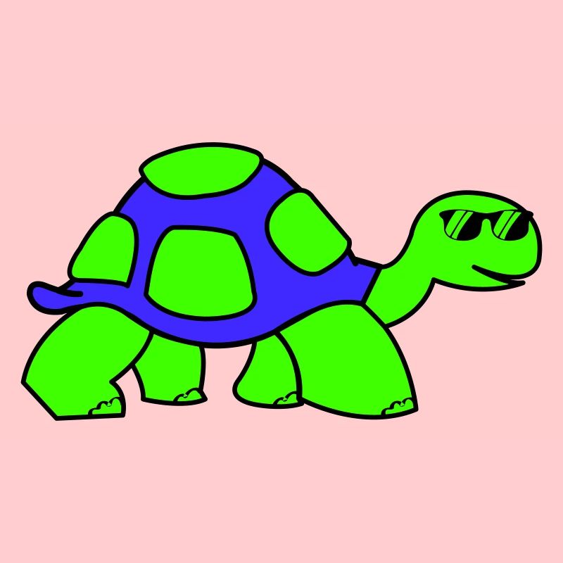 cool turtle