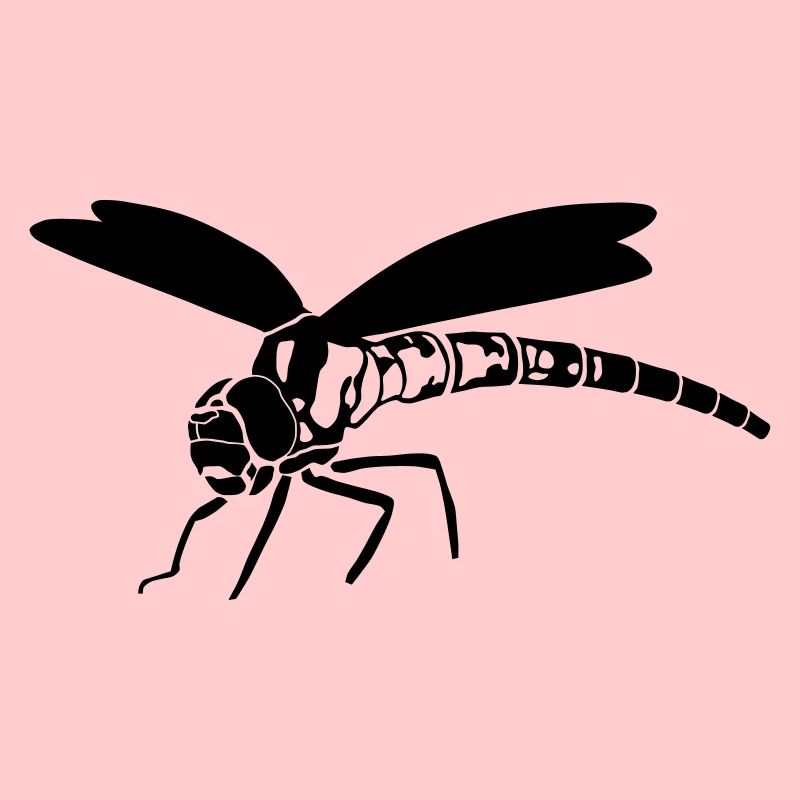 libellule