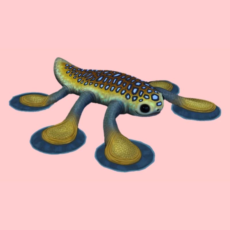 Hoverfish