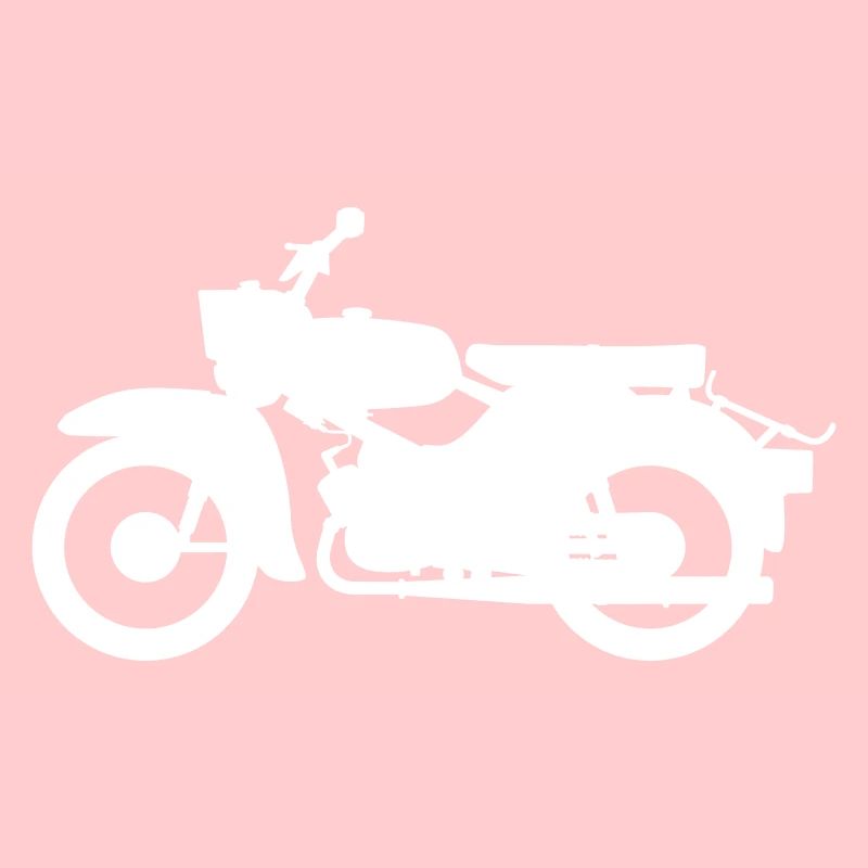 Simson Sparrowhawk / Silhouette de faucon