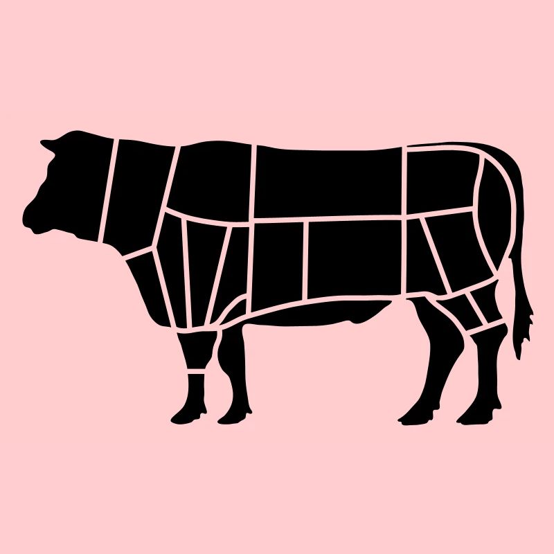 fleisch fleischer_b1