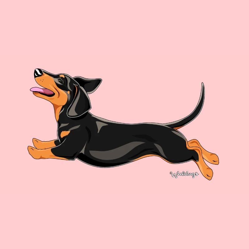 Dachshund Smooth 3