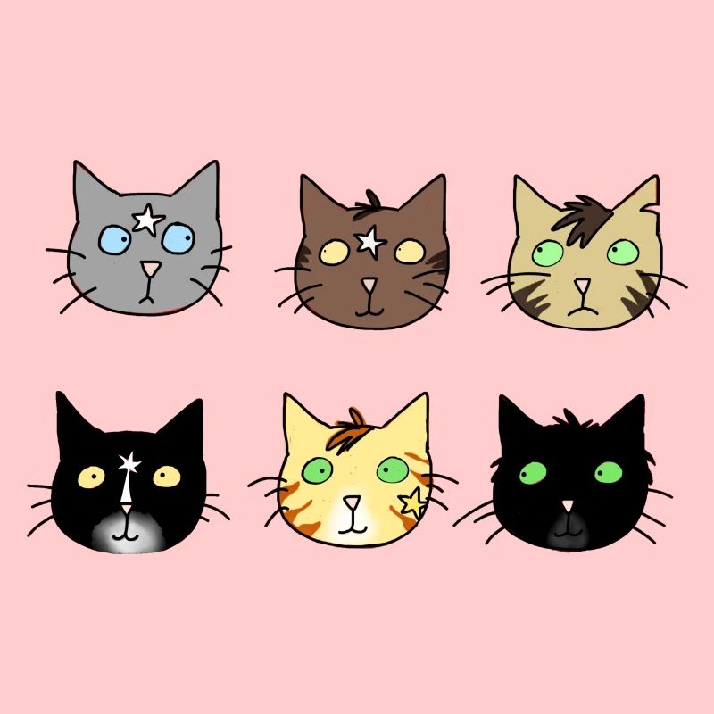 cats, chats, comme Warrior