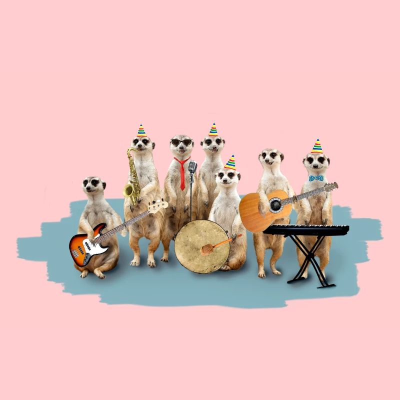 suricate