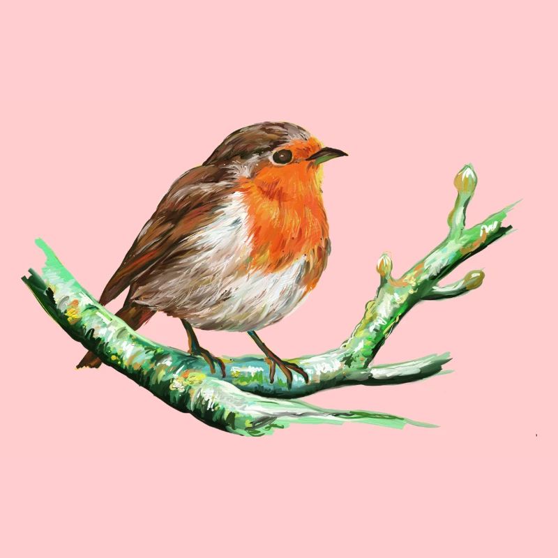 Oiseau - Rouge Gorge