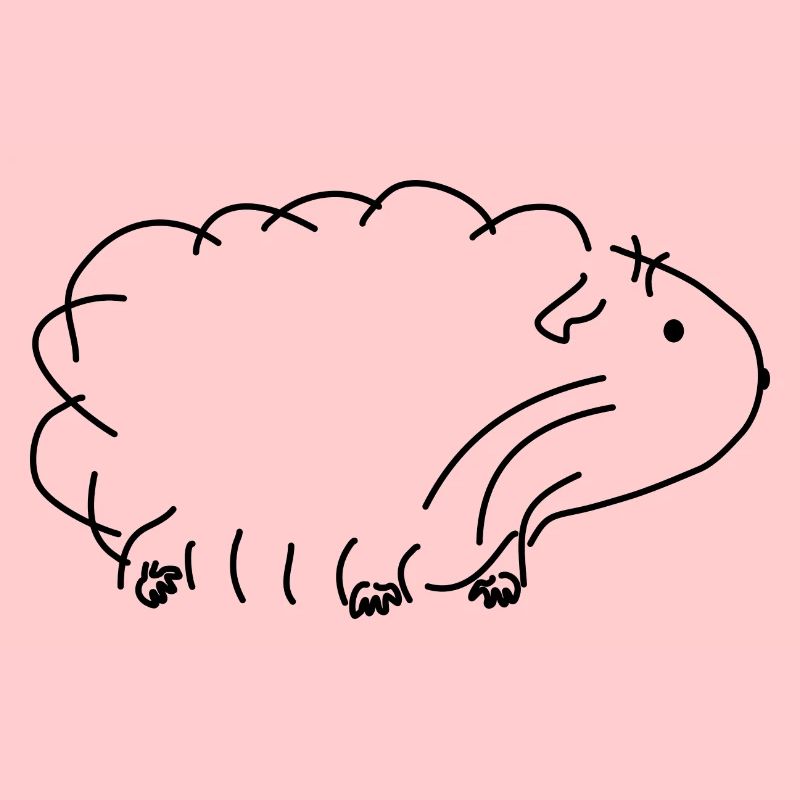 Cochon d'Inde
