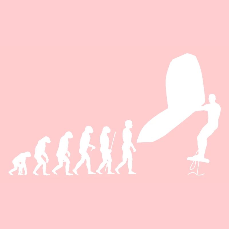 Wingsurf Evolution