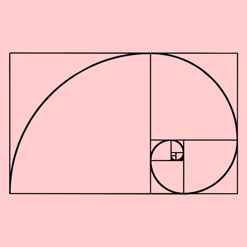 Spirale de Fibonacci, section doré, Phi, evolution