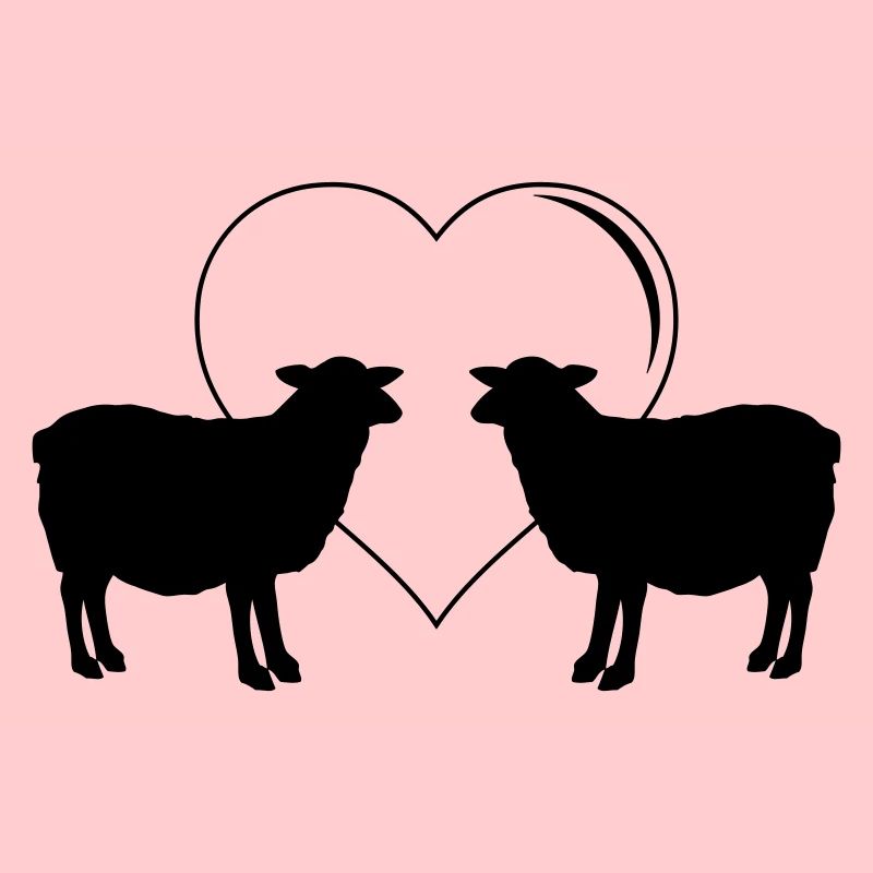 Amour des moutons