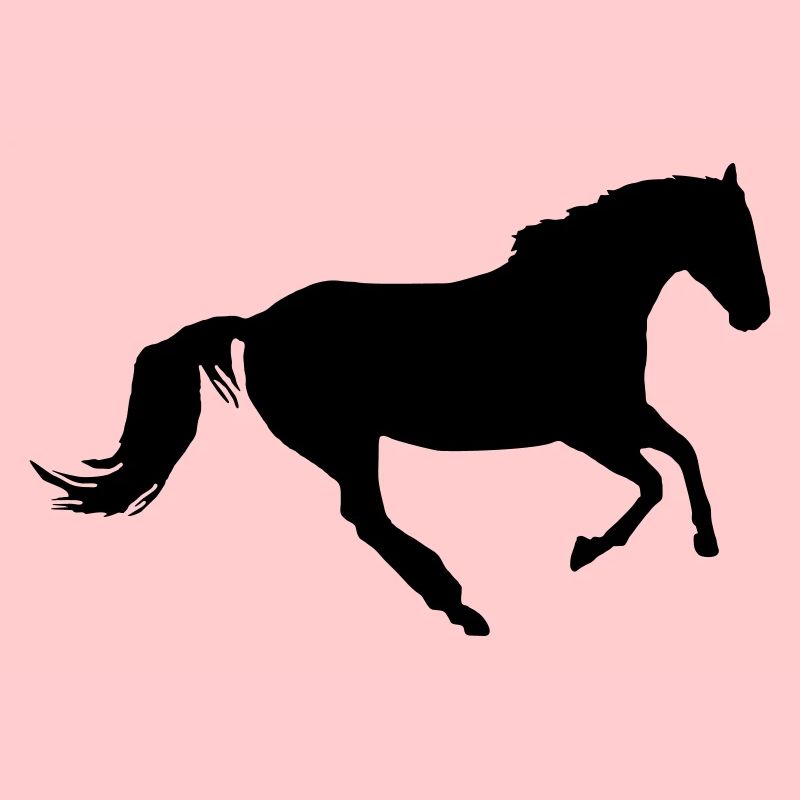 Pferd im Galopp