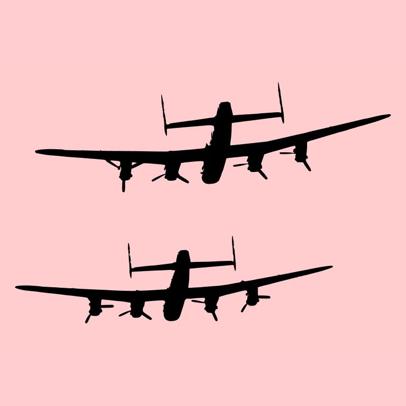 2 Avro Lancasters