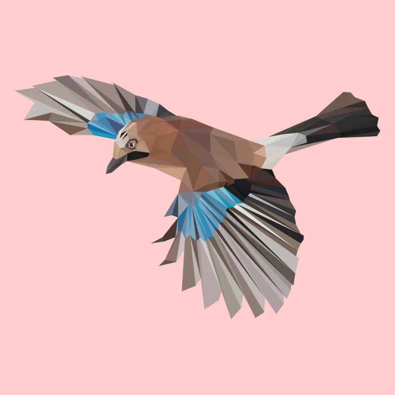 Jay