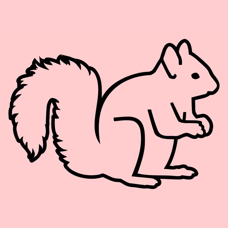 Ecureuil