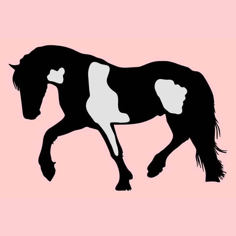 Tinker, Pinto, Barock Pinto, Schecke Silhouette