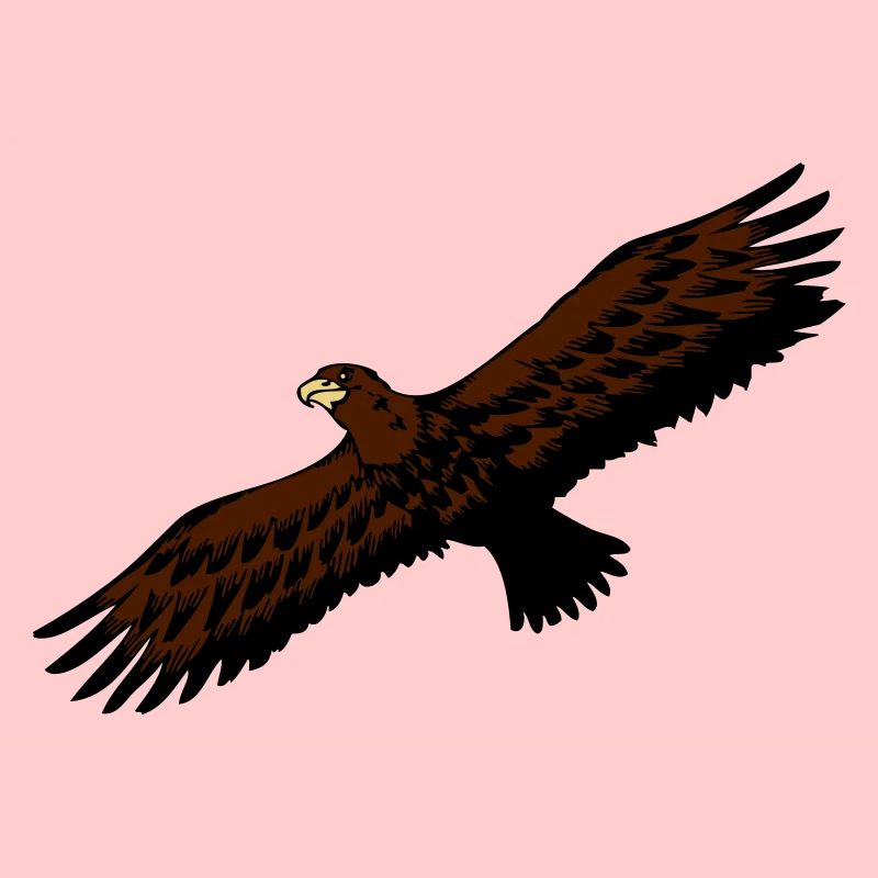 Oiseau Aigle anmut oiseaux de proie