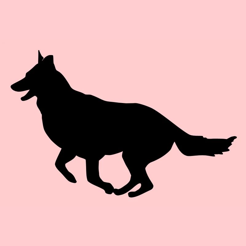 Schäferhund_cb