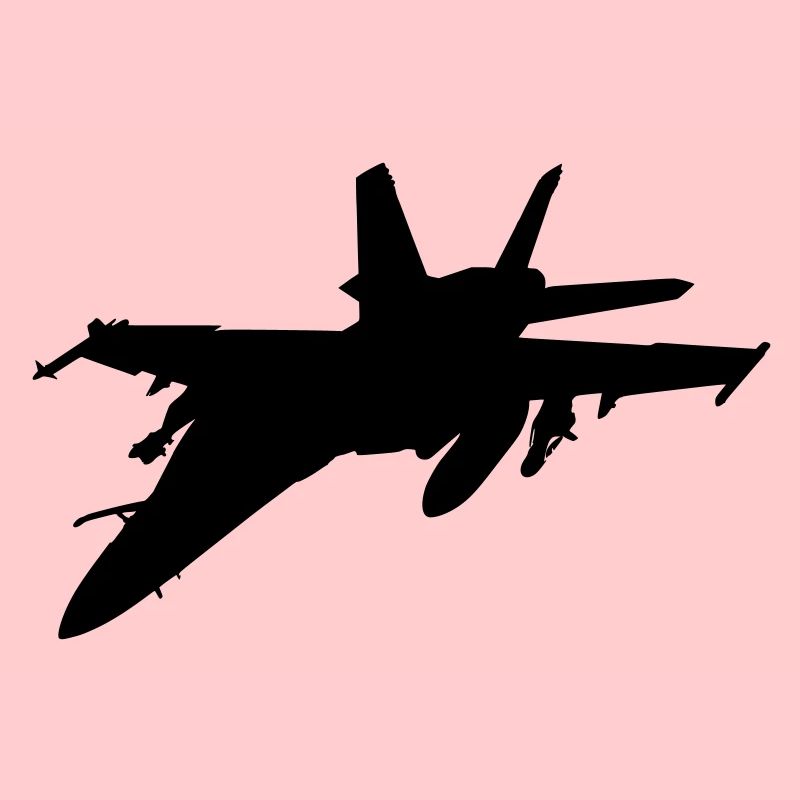 fighter aircraft avion de chasse
