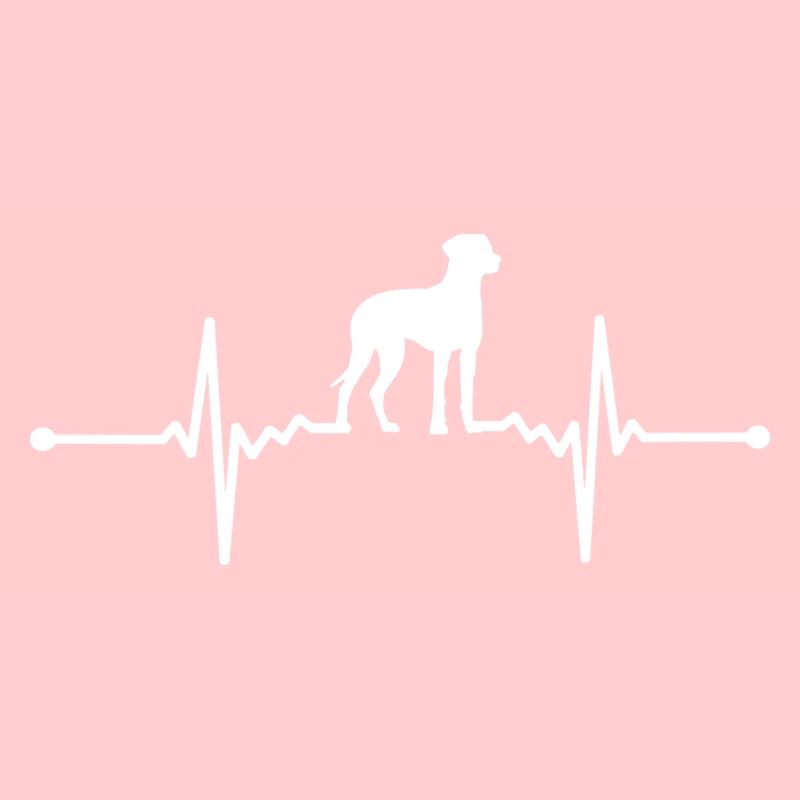 Rhodesian Ridgeback - Rhodesian Ridgeback
