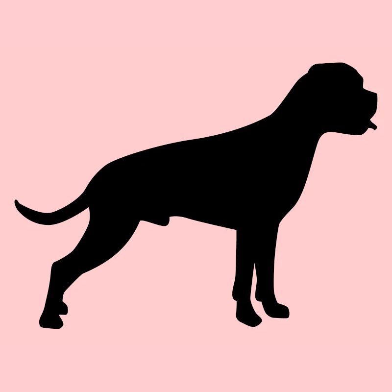 Boxer