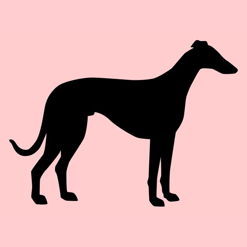 Lévrier