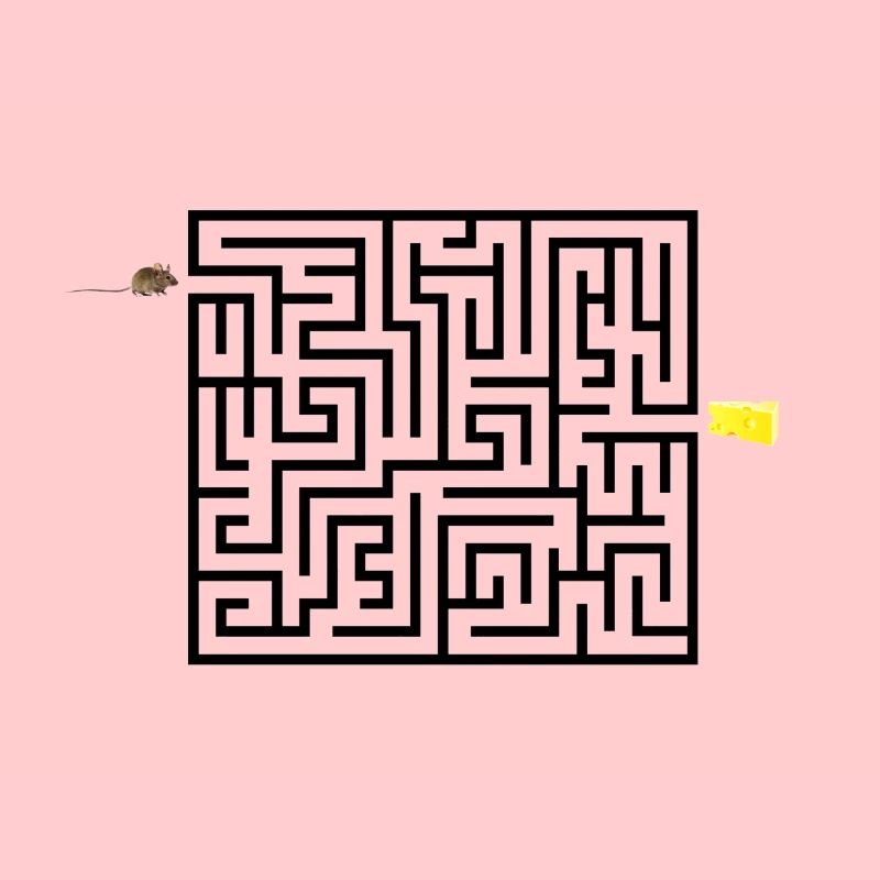 Labyrinth