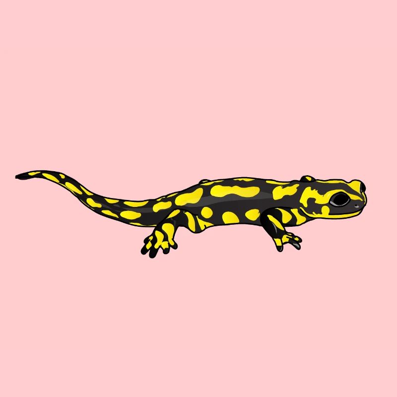 Salamandre