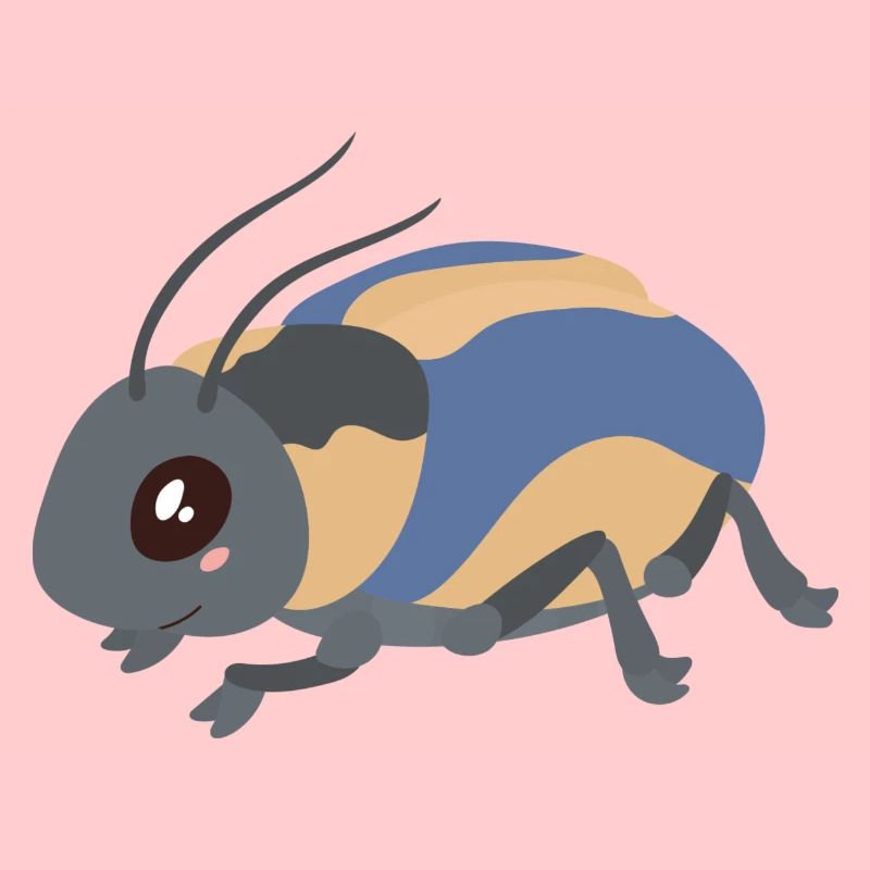 insecte