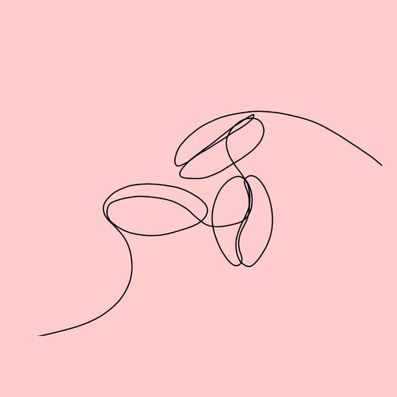 Coffee beans linear