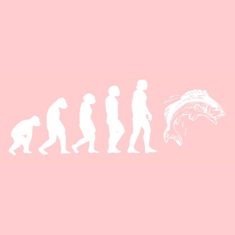 Evolution Forellen Angler
