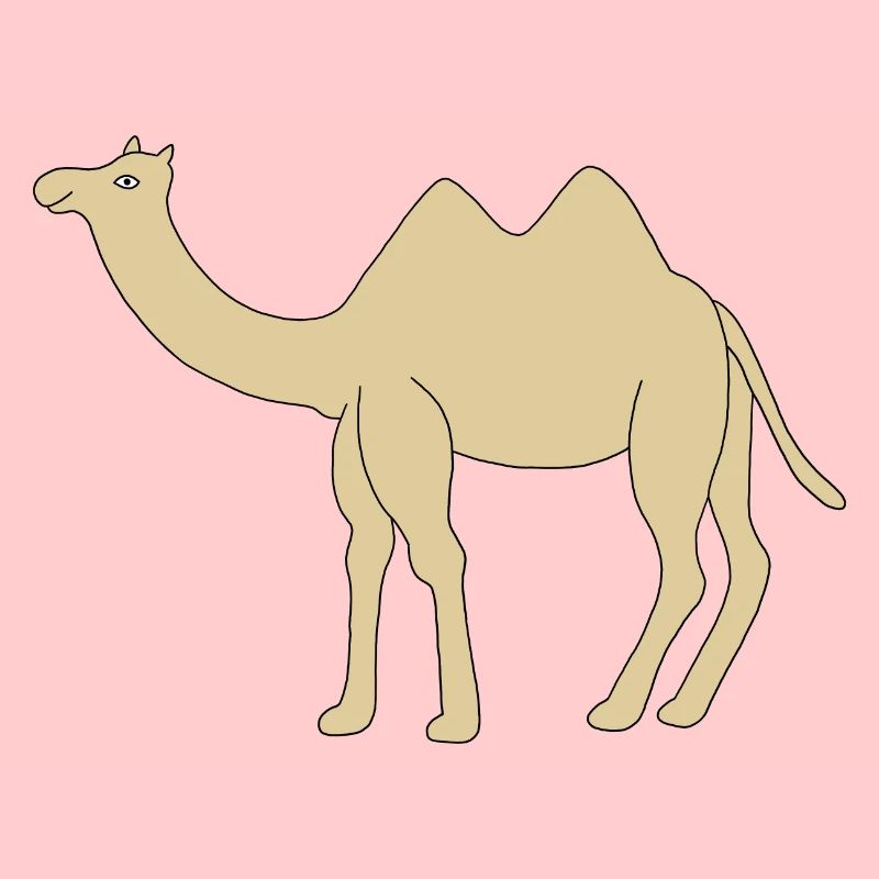 Lonely camel