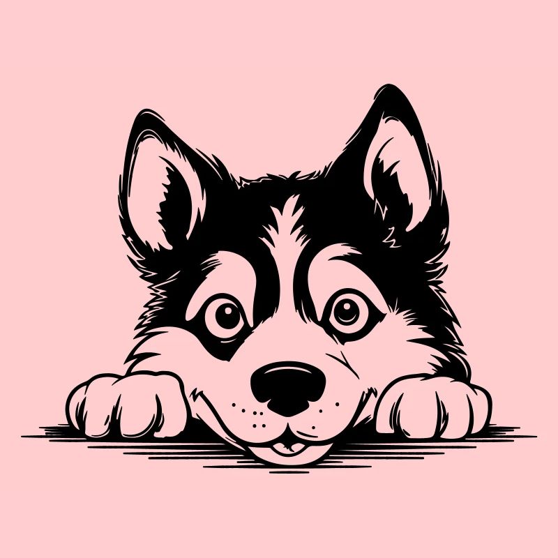 Husky sibérien
