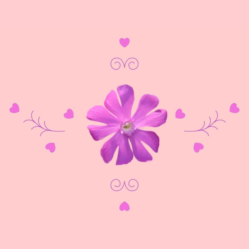 Carnation Pink Flower