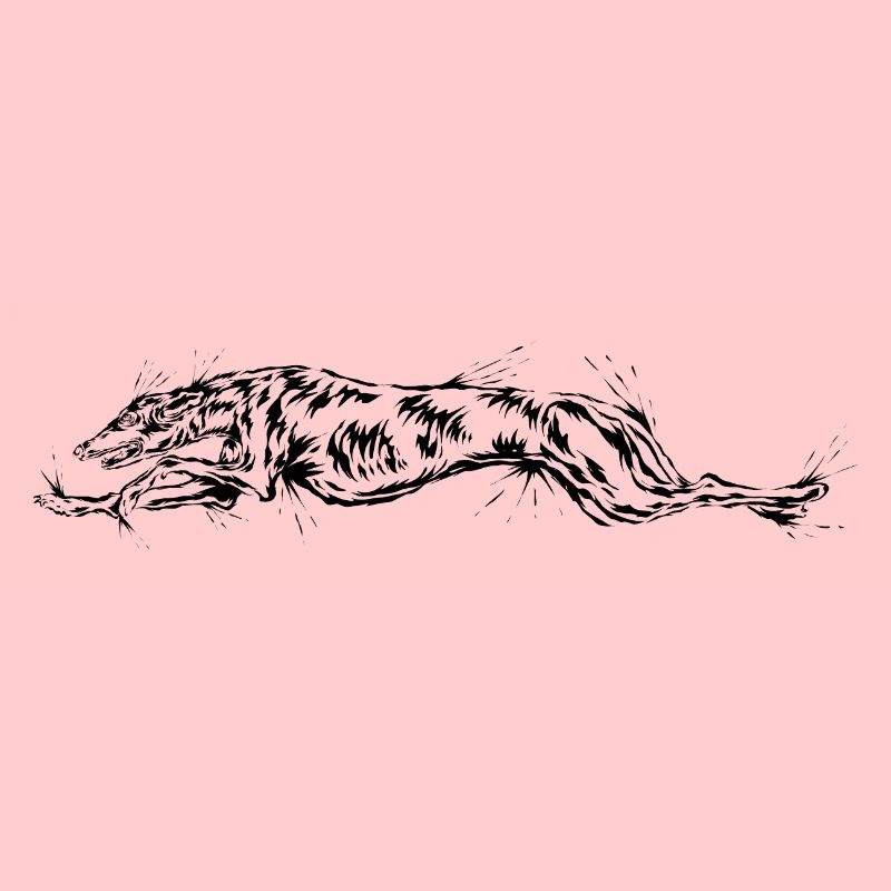Greyhound