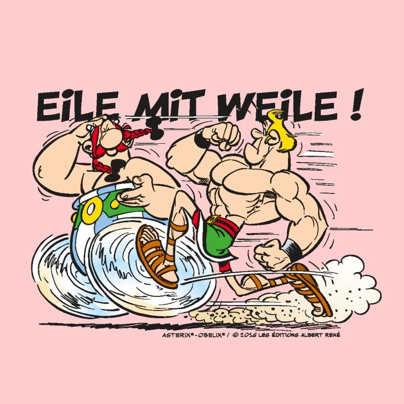 Asterix Obelix Eile mit Weile