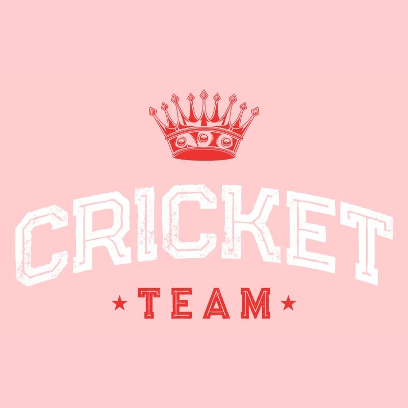 Équipe de cricket
