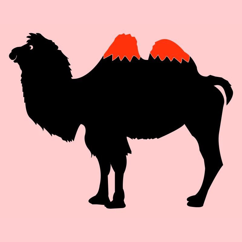 Silhouette de chameau