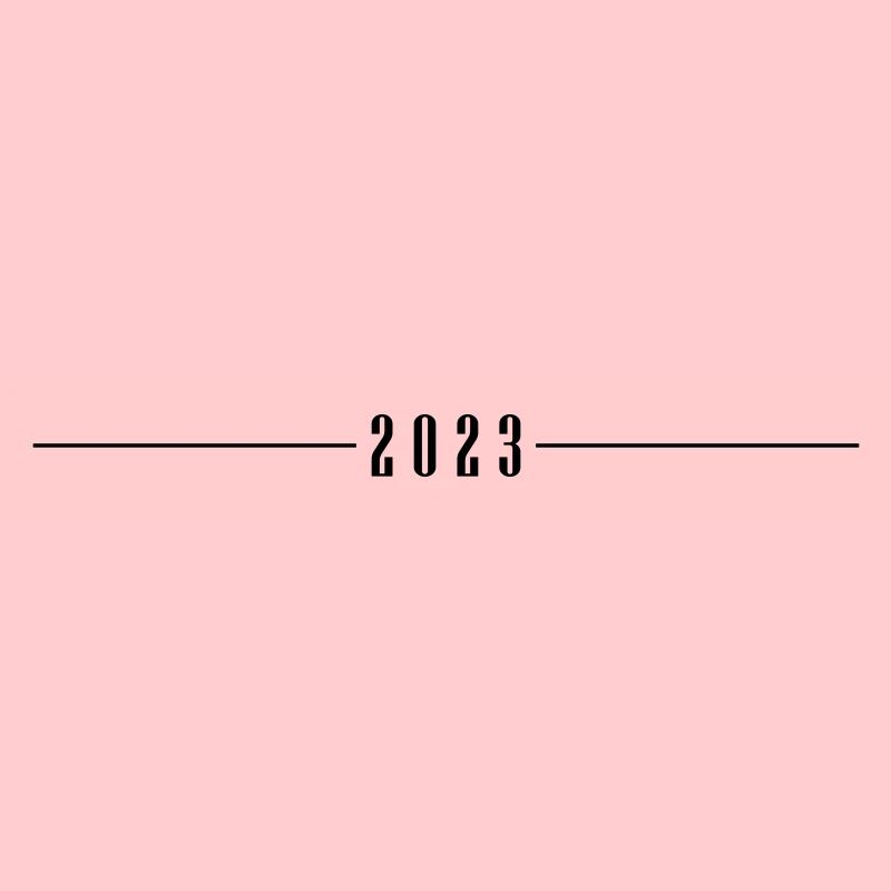 2023 Dash