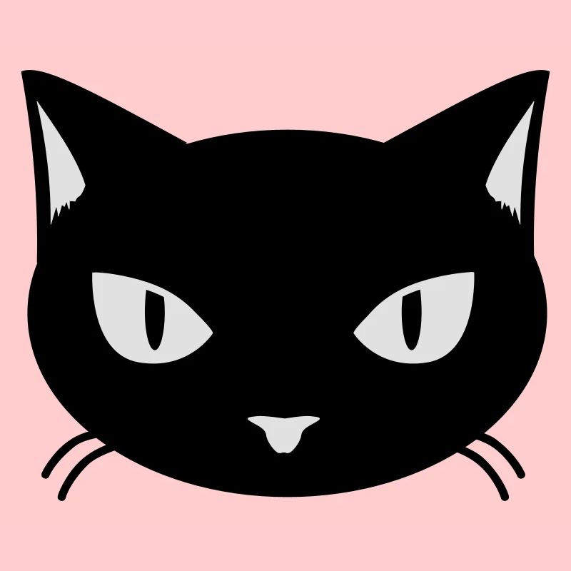 cat - kitty - katze - chat