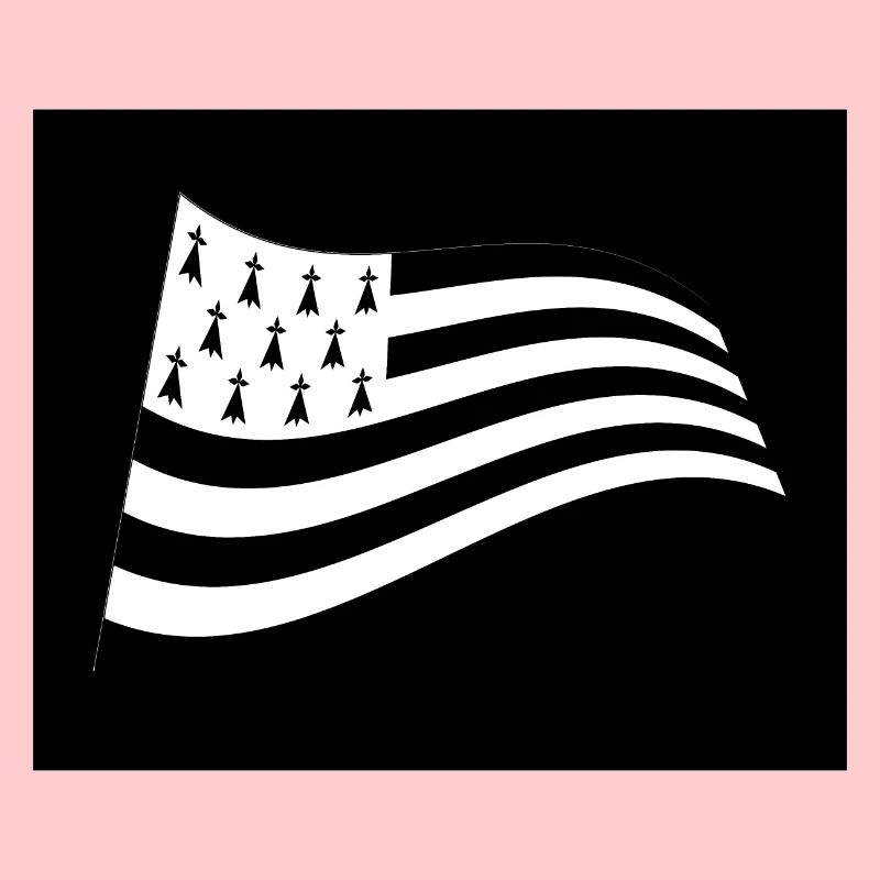 drapeau breton dans le vent